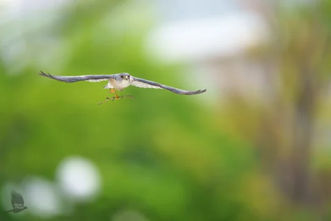 無題の投稿725