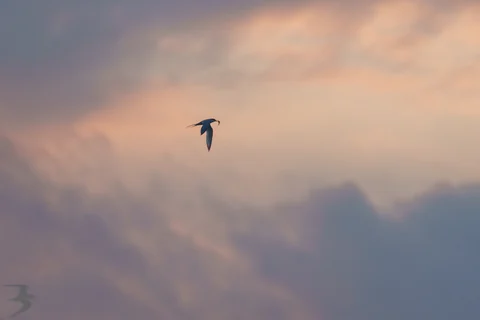 無題の投稿844