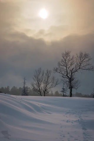 無題の投稿913