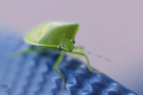 無題の投稿931