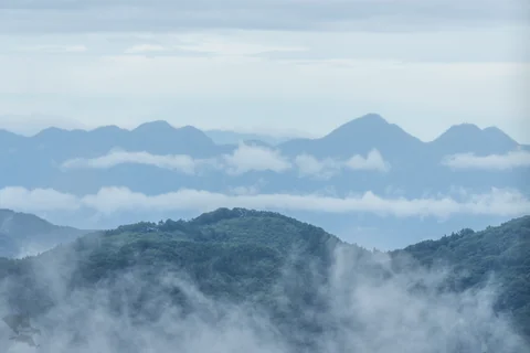 無題の投稿942