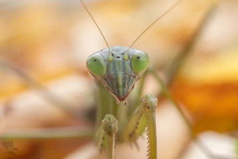 無題の投稿1515