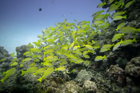 無題の投稿1540
