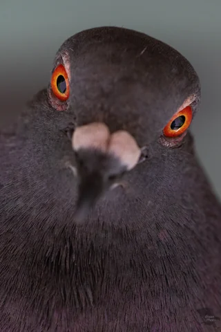 無題の投稿1570