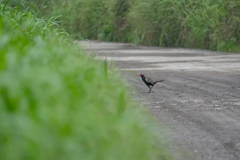 無題の投稿1580