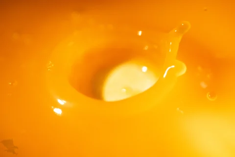 無題の投稿1612