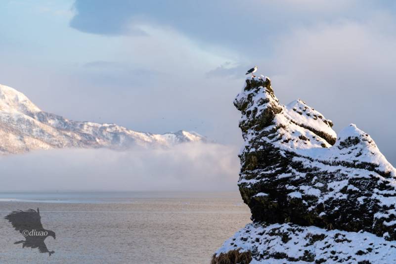 冬の羅臼の天狗岩と知床連山